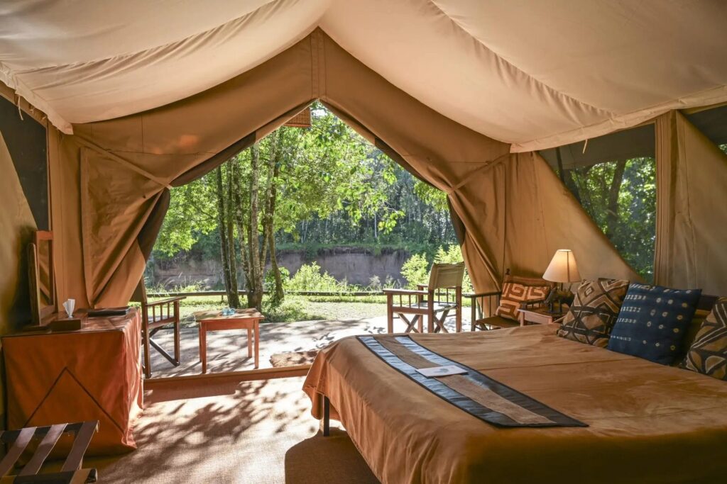 Safari Zanzibar